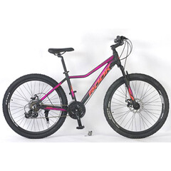 Велосипед Rook MА260DW 26