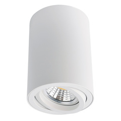 Светильник потолочный Arte Lamp Sentry A1560PL-1WH