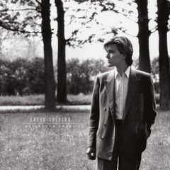 David Sylvian / Brilliant Trees (LP)