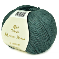 Пряжа Chante Merino Alpaca (5902)
