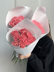 Охапка диантусов в розовом оттенке 10 шт