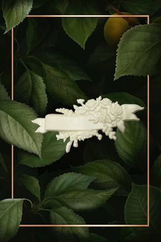 Отливка НШ 881 (11,5*5,5см)