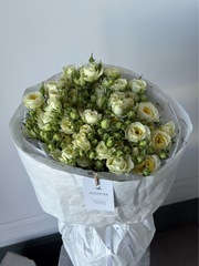 собран сегодня #27