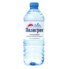 Вода минеральная Пилигрим негазированная, 0,5 л
