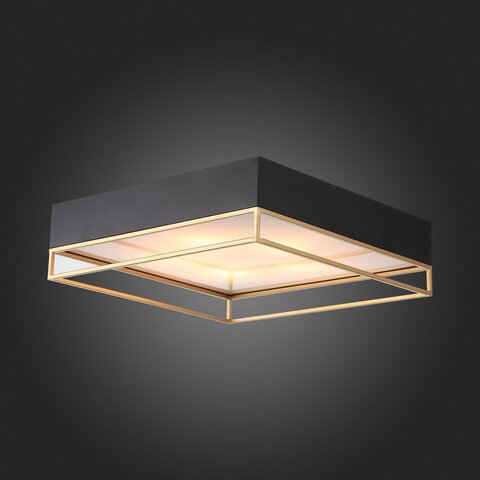 Светильник потолочный ST Luce Chodo SL1127.422.05