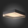 Светильник потолочный ST Luce Chodo SL1127.422.05
