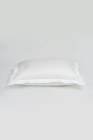 Наволочки 2шт 50х70 German Grass Paisley Palette белые