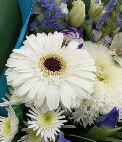 Букет комплимент с герберой и зефирной хризантемой