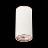 Светильник потолочный ST Luce ST111.527.01