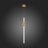 Светильник подвесной ST Luce Angurra SL1222.213.01