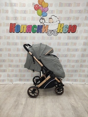 Коляска прогулочная Rant Basic Vortex Grey