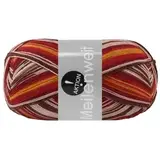 Пряжа Lana Grossa Meilenweit 100 Aktion 3028