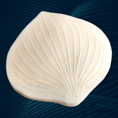 Молд пластиковый 