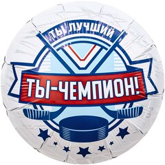 Аг 18''/46 см, Круг, Ты Чемпион, Хоккей, 1 шт.