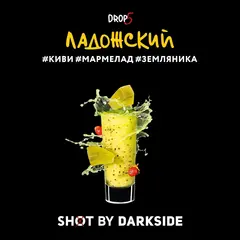 Dark Side 30г. SHOT (Ладожский) (М)