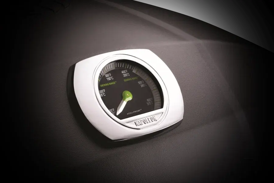 Электрический гриль Napoleon TravelQ 285 PRO