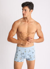 Мужские боксеры E25K-71B102