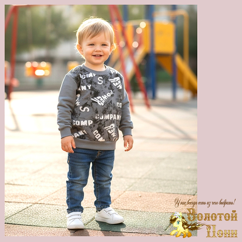 Свитшот трикотаж м (74-98) 251205-Y5105