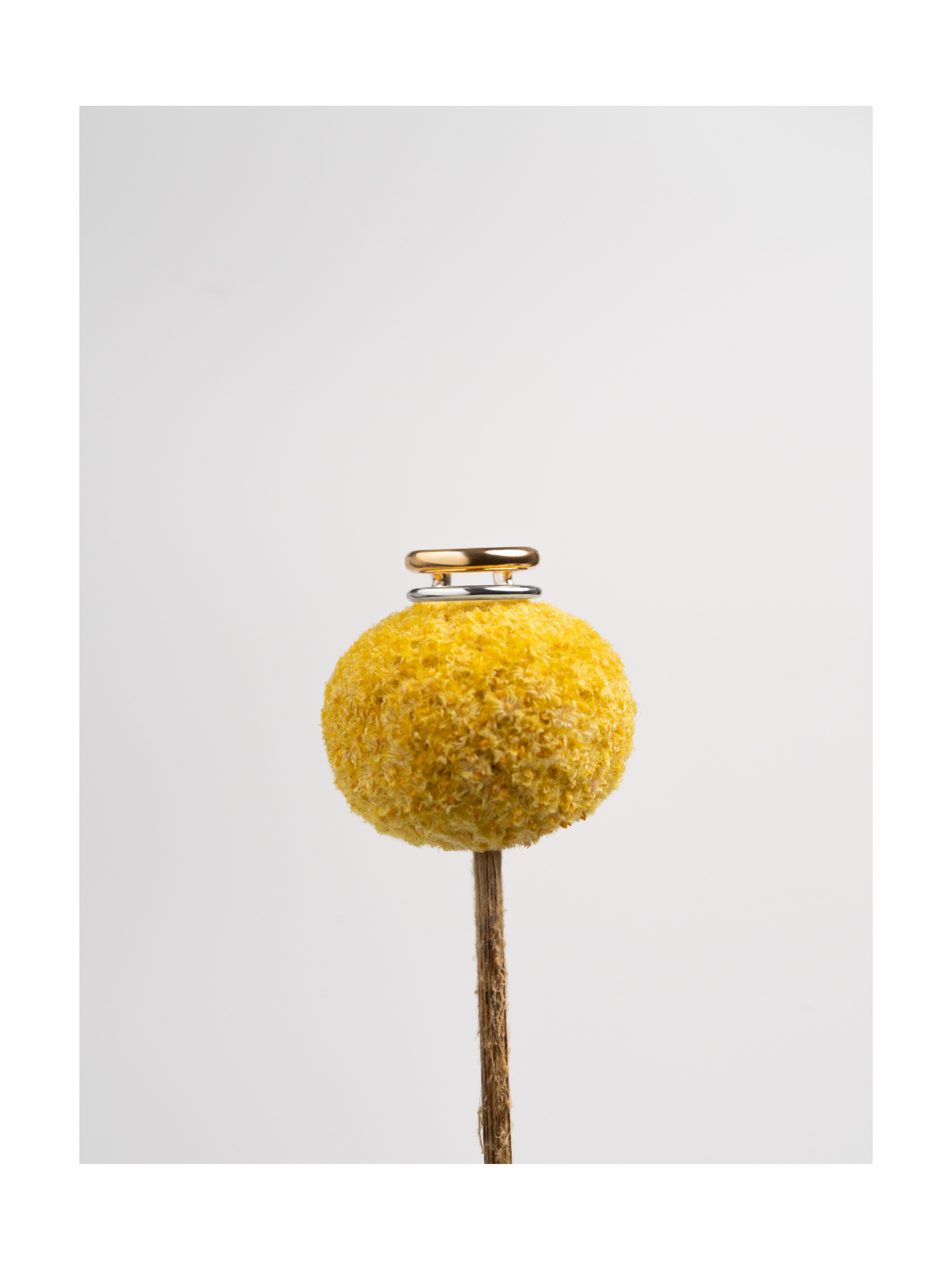 Кафф Обруч биколор