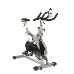Vision Fitness ES700