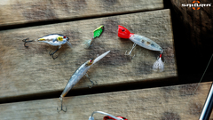 Ultimate Fishing Simulator - Sakura Lures (для ПК, цифровой код доступа)