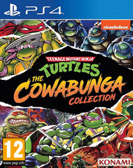 Teenage Mutant Ninja Turtles: Cowabunga Collection (диск для PS4, полностью на английском языке)