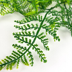 Лиана Папоротника, искусственная зелень, цвет зеленый, около 70 лапок, длина 170 см., 1 шт.