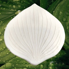 Молд пластиковый 