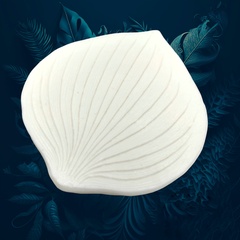 Молд пластиковый 