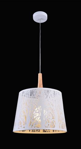 Подвесной светильник Maytoni Lantern MOD029-PL-01-W
