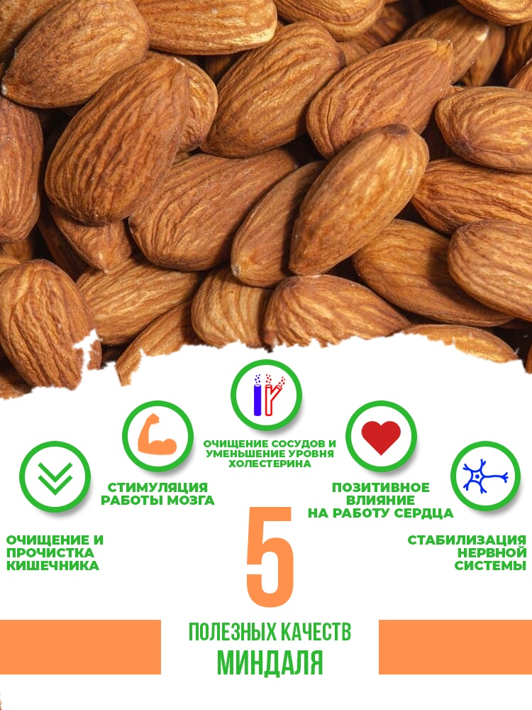 Миндальные орехи польза и вред. Орехи миндаль витамины. Витамины в миндальных орехах. Орехи миндаль калорийность. Ккал орехов миндаль.