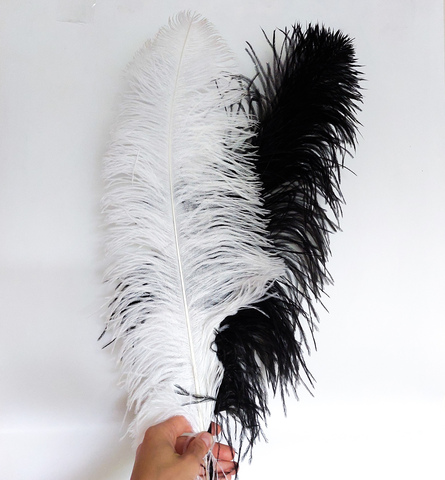 Перья страуса  декоративные  ПРЕМИУМ 55-60 см. (цена за 1 шт.) , (выберите цвет)