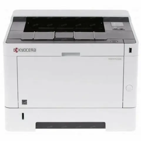 Принтер Kyocera ECOSYS P2235dw (1102RW3NL0)