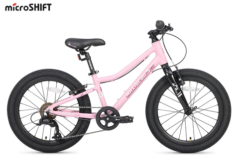 Maxiscoo 3BIKE 20'' L (2025)