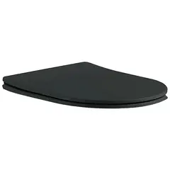 Aquatek AQ0105-MB AQ0105-MB Крышка-сиденье черное матовое для ЕВРОПА/ ВЕГАAQ1901/ AQ1902/ AQ1905/ AQ1906 фото