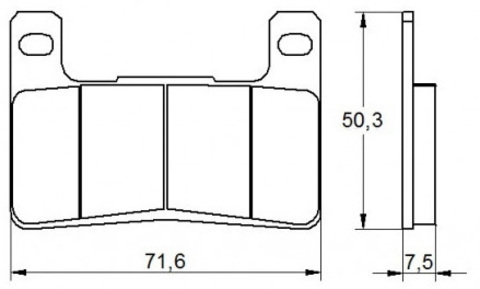 AGPA109ST Тормозные колодки дисковые мото Accossato (FDB2178ST)