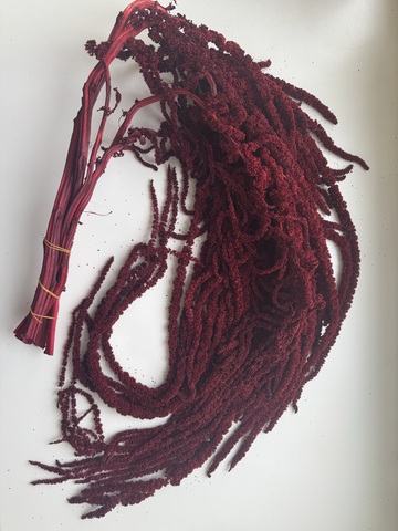 Амарант стабилизированный Марсала