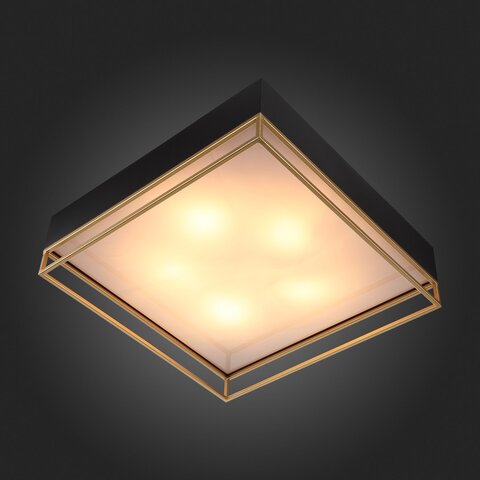 Светильник потолочный ST Luce Chodo SL1127.422.05