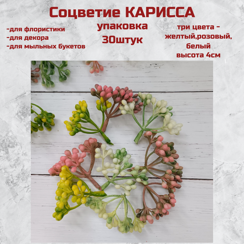 Соцветие Карисса 30шт