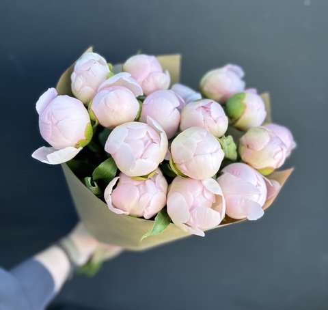 Пионы розовые нежные 15 шт