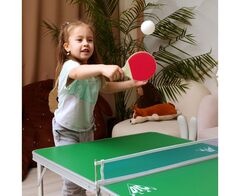 Теннисный стол детский DFC DANDELION 48