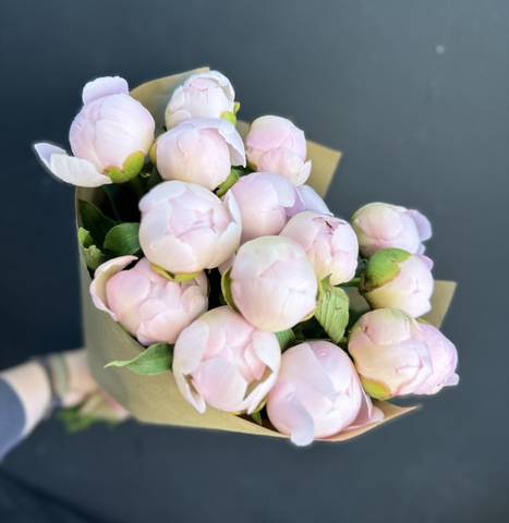 Пионы розовые нежные 15 шт