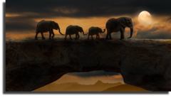 Постер "Африканские слоны"