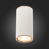 Светильник потолочный ST Luce ST111.527.01
