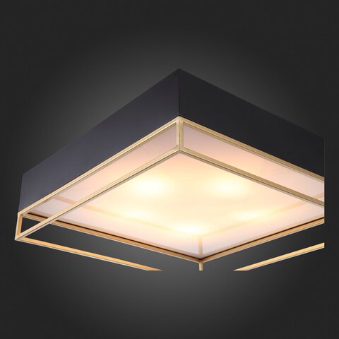 Светильник потолочный ST Luce Chodo SL1127.422.05