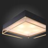 Светильник потолочный ST Luce Chodo SL1127.422.05