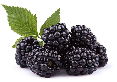 Ежевика свежая, 300г