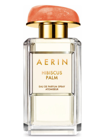 Aerin Hibiscus Palm