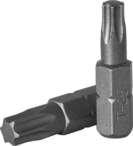 Jonnesway D130T45 Вставка-бита 10 мм DR TORX®, Т45, 30 мм 47927