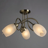Люстра Arte Lamp Mutti A8616PL-3AB